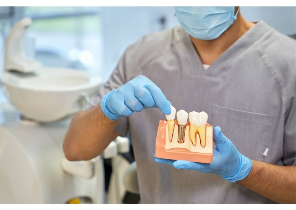 Dental professional showing a tooth implant model to explain the pros and cons of dental implants during treatment planning